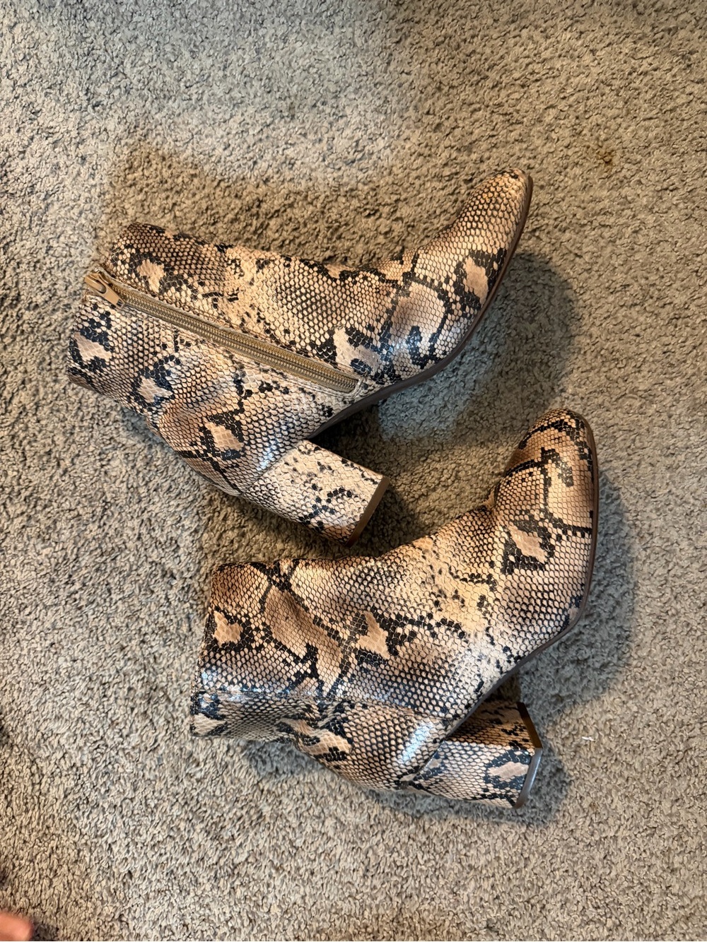 Snake-Print Ankle Boots in Beige and Black - Daisy Fuentes Size 7.5